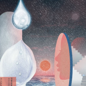 Black Warrior Review