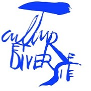 Fondation Culture & Diversité