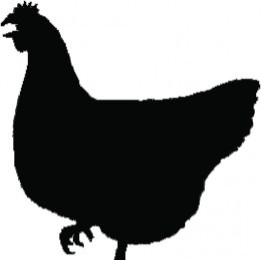 Red Hen Press